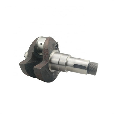 RiXUAN ZS195 ZS1100 ZS1105 Diesel Engine Crankshaft